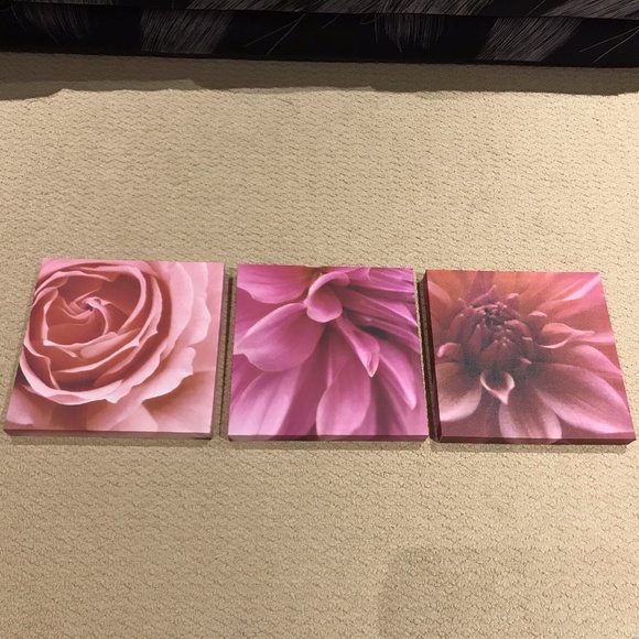 Floral Canvas Prints (Set of 3) - Picture 1 of 7